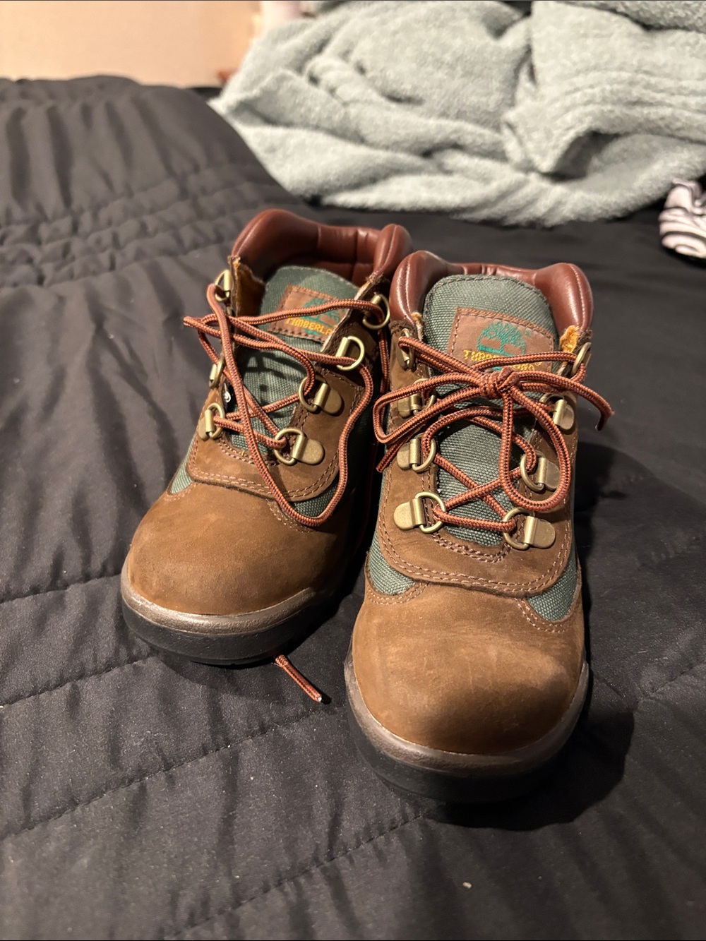 Timberland Kids Brown and Green Leather Hiking Boots